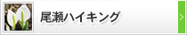 尾瀬ハイキング