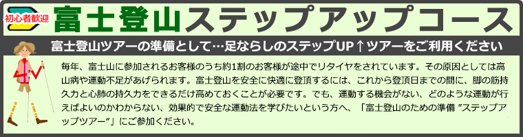 ステップアップ