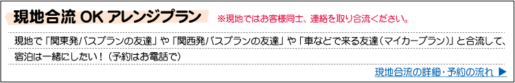 スキー・スノーボード　現地合流