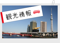観光情報