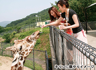 きりん餌やり