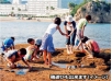 磯遊びイメージ