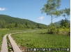 山の鼻から燧ケ岳につづく小道