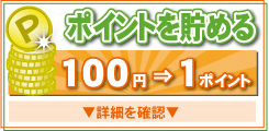 ポイントについて説明