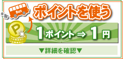 ポイントについて説明