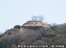 利神城