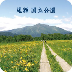 尾瀬