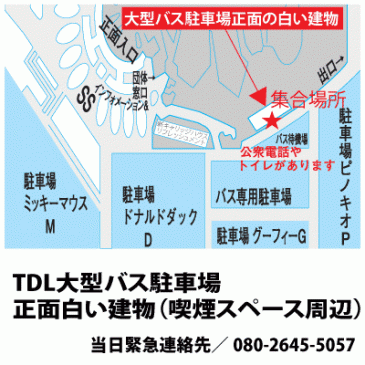 ディズニーリゾート仙台 福島発夜行日帰りバスツアー