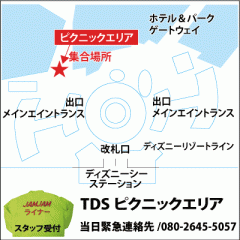 ディズニーリゾート パスポート付 スタンダード 名古屋 豊田 岡崎 夜行日帰りバスツアー