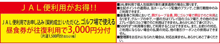 JAL特典