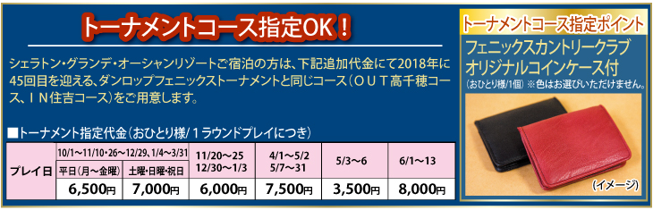 トーナメント指定