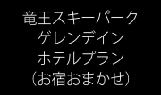 【お宿おまかせ】ゲレンデイン(ゲレンデまで0分)ホテルプラン