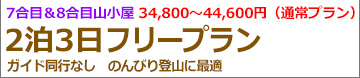 朝発3日間吉田フリー