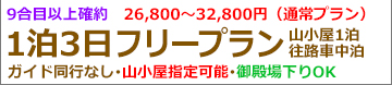夜発富士宮フリー