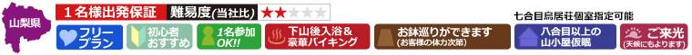 コースについて