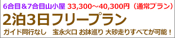 朝発3日間プリンスフリー