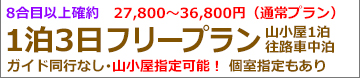 夜発吉田フリー