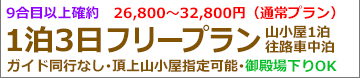 夜発富士宮フリー
