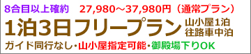 夜発富士宮フリー