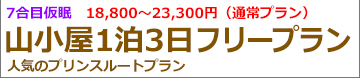 静岡夜発3日間 プリンスルート登山･フリープラン