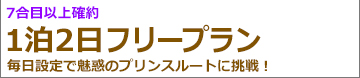 静岡朝発2日間 プリンスルート登山･フリー(一部日程ガイド)プラン