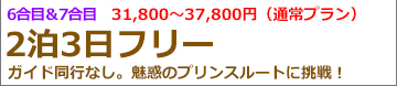 静岡昼発3日間 プリンスルート登山･フリープラン