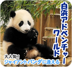 白浜アドベンチャーワールド
