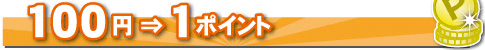 ポイントについて説明