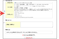 ポイントについて説明