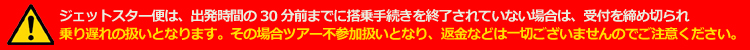 注意事項