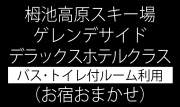 【お宿おまかせ】ゲレンデサイド（徒歩約5分以内）DXホテル