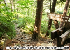 三条ノ滝　分岐
